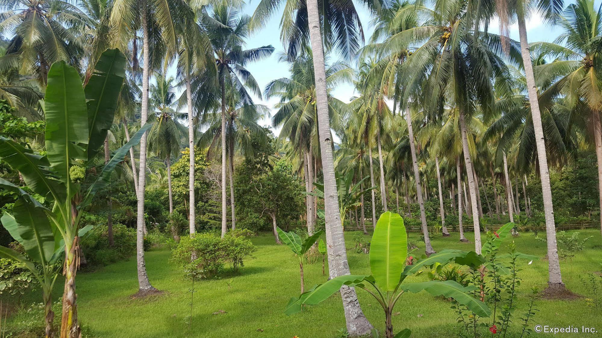 Mangrove Resort Puerto Princesa Exterior foto